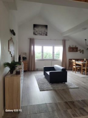 Penthouse N74 Linz 120 QM KIDS WELCOME!